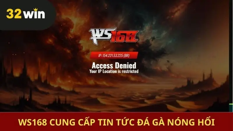 Theo dõi, nắm bắt tin tức chọi kê tiện lợi