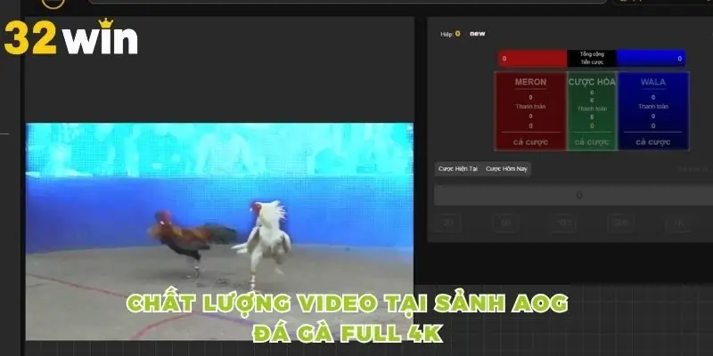 Chất lượng video tại sảnh AOG đá gà full 4K