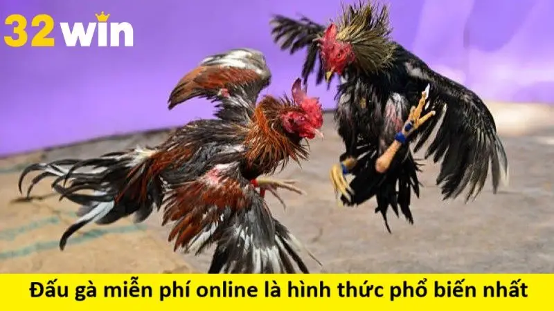 Đấu gà miễn phí online là hình thức phổ biến nhất