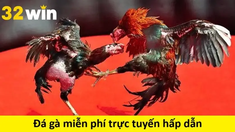 Đá gà miễn phí trực tuyến cực hấp dẫn