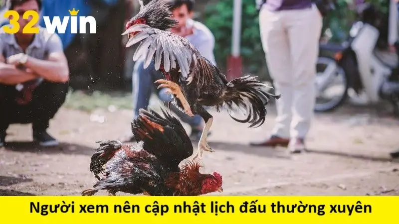 Người xem nên cập nhật lịch đấu thường xuyên