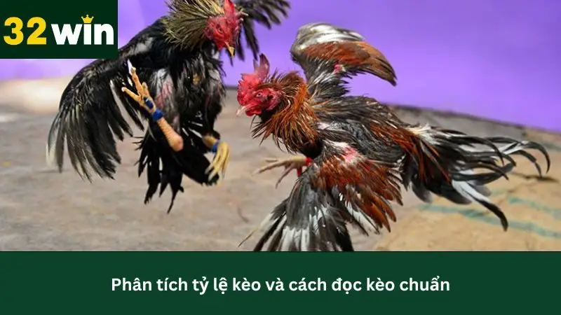 Cách chơi cược đá gà tăng phần trăm thắng tại 32Win