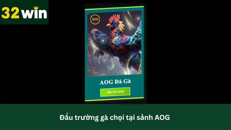Sảnh chọi gà AOG đẳng cấp quốc tế