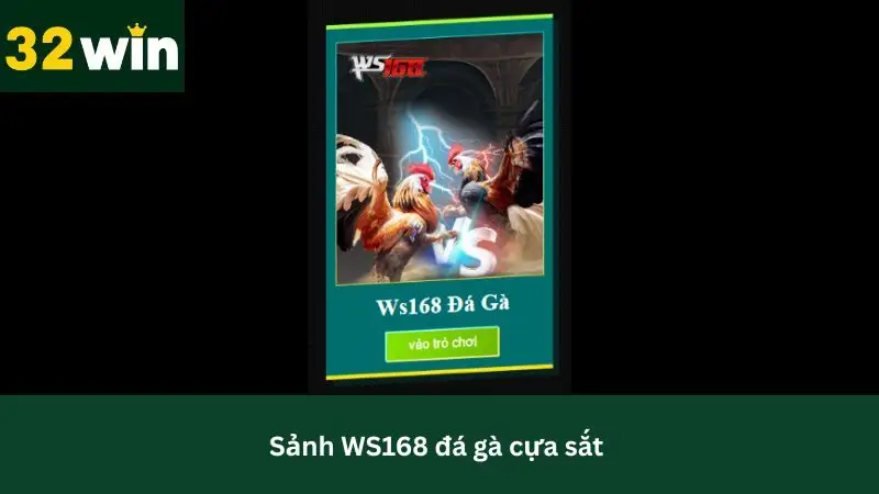 Sảnh đá gà cựa sắt WS168 32Win