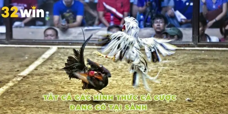 Tất cả các hình thức cá cược đang có tại sảnh