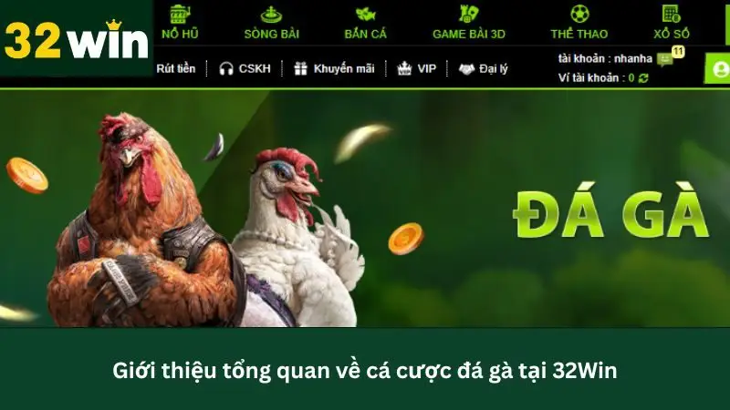 Giới thiệu tổng quan về sảnh đá gà tại 32Win