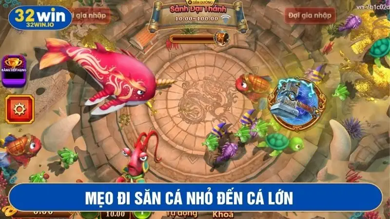 Tập đi săn từ những con cá nhỏ đến lớn 