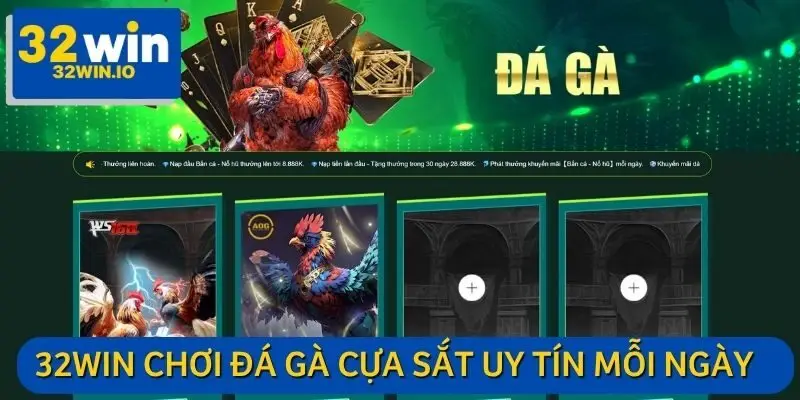 32WIN trực tiếp các trận đá gà cựa sắt từ những trường gà danh tiếng