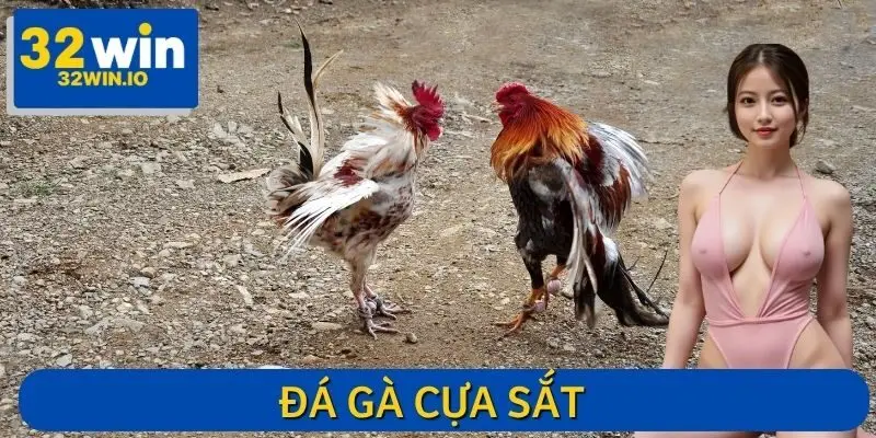 Đá Gà Cựa Sắt