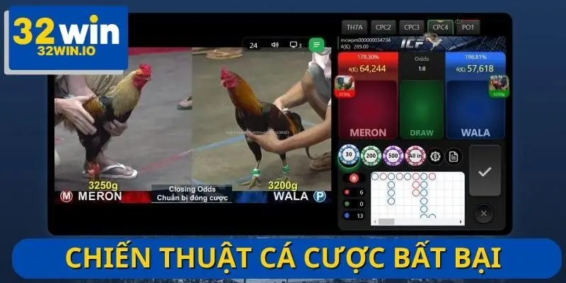 Mẹo hay để đặt cược hiệu quả trong đá gà cựa dao