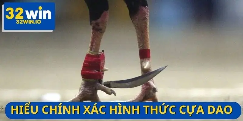 Đá gà cựa dao là đấu trường kịch tính