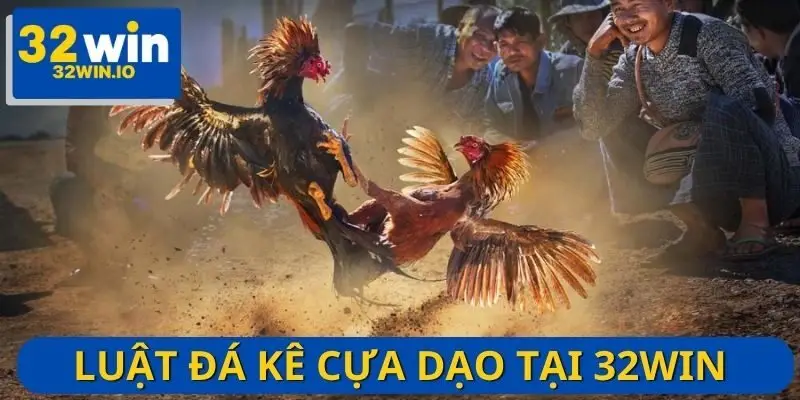 Luật đá gà cựa dao bạn cần nắm rõ