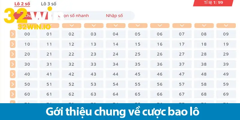 Áp dụng mẹo đánh bao lô – Cách nhanh nhất để bạn kiếm tiền từ nhà cái