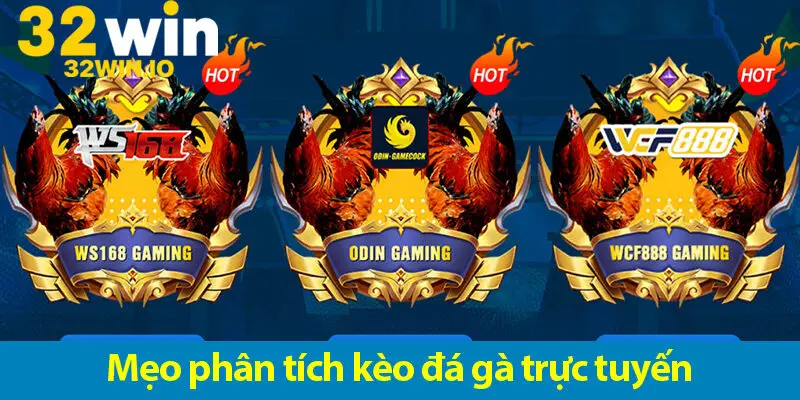 Mẹo phân tích kèo đá gà trực tuyến và bí kíp cược đâu thắng đó